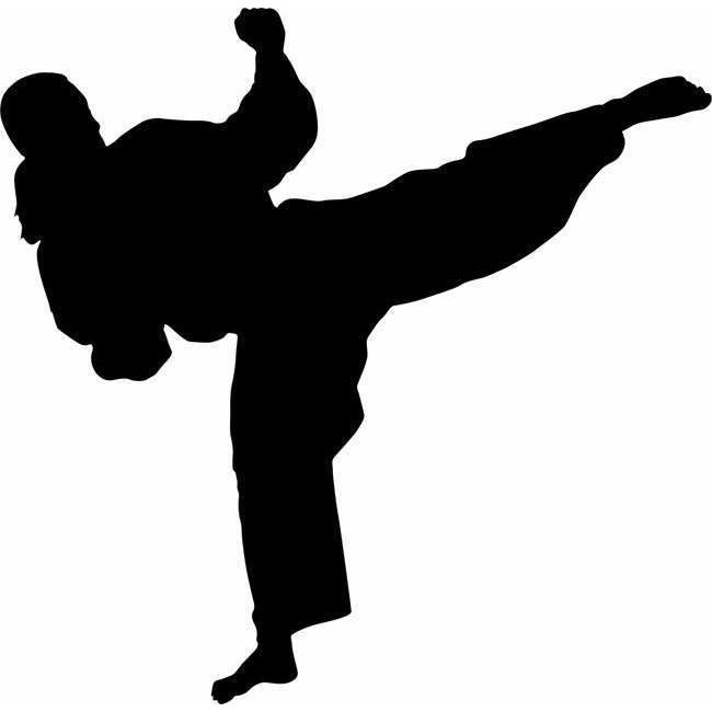 karate jump kick silhouette