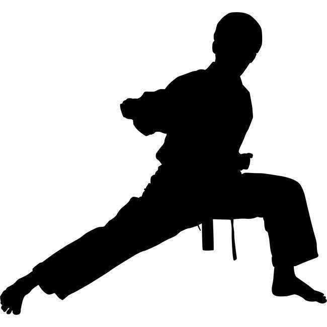 karate girl kick silhouette